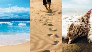 Seachange Holiday Rentals