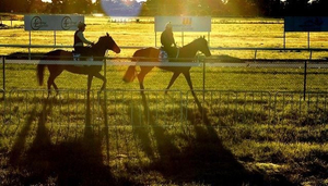 Werribee