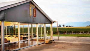 Zonzo