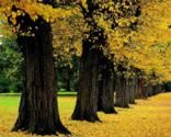Victoria Snel City Guide: A - H