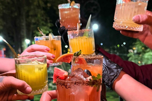 Ancient Mexican Mixology Workshop with Panoramic View in Coyoacán