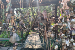 Mexico City: Kanaler, den originale dukkeø, aksolotler og guide i Coyoacan
