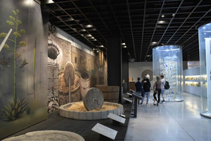 CDMX: Garibaldi Experience, Tequila, Tacos & Mariachi