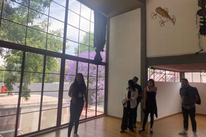 COYOACAN: FRIDA KAHLO STEPS IN COYOACAN AND SAN ANGEL CDMX