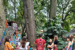 Coyoacan, Historia y vida de un barrio magico