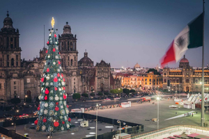 Enchanted Christmas Private Walking Tour in Mexico City