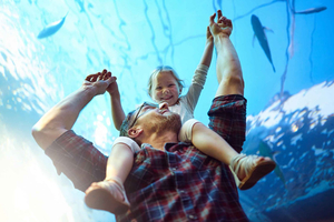 Mexico City: Admission to the Inbursa Aquarium, Sea Life, and Optional Virtual Reality
