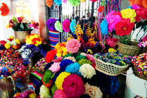 Mexico City: Bazaar Saturday, Convent of Carmen & San Angel