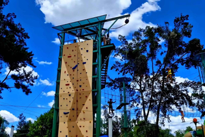 Mexico City: Bellas Artes & Park Tour with Zipline, Carousel