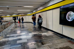 Mexico City: Fine Arts, Alabama Park, Science Museum Tour.