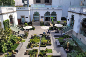 Ciudad de México: estudio de Frida y Diego, San Ángel, artesanía, mezcal