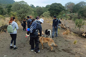Mexico City: Guided Tour of the Caves of an Inactive Volcano