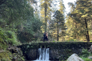 Mexico city: Hiking tour to Desierto de los leones