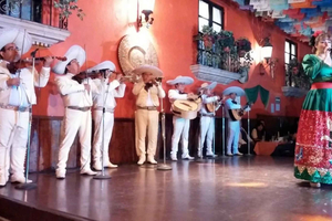 Mexico City: Mariachi Plaza Garibaldi Night Tour