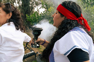 Mexico city: Mexica Corn Reading and Tonalamatl Session