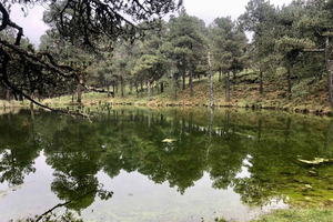 Mexico City: Nahualac Lagoon Private Hiking Tour