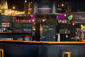 Mexiko-Stadt: Craft-Bier-Tour in Roma und Condesa