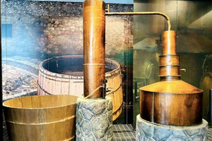 Mexico City: Tequila and Mezcal Museum Ticket with Tastings