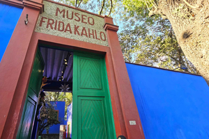 Cidade do México: passeio por Xochimilco e Museu Frida Kahlo com traslado
