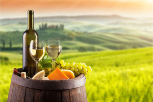 Querétaro: Wine and Cheese Tastings (ENG/CH Private/Join)