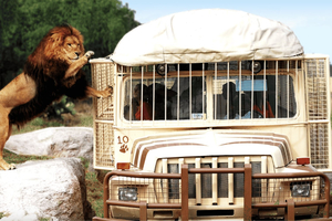 Teotihuacan: Entrance to Animal Kingdom Park; Adventure & Nature