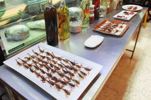 Tour of Mexican markets with Mezcal and traditional food