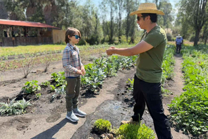 Xochimilco: Kanaler, axolotlar och marknadsrundtur