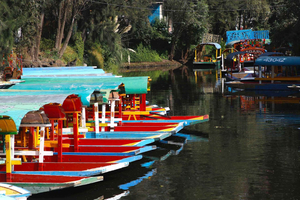 Xochimilco: Party on a Trajinera with Mexican Snacks, Drinks, and Music