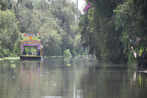 Xochimilco Sereno: Una Tranquila Escapada Cultural de las Multitudes
