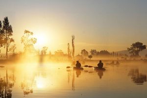 Xochimilco: Sunrise Kayak or Trajinera Tour