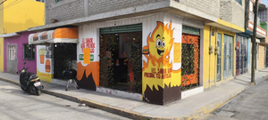 Asado Errante
