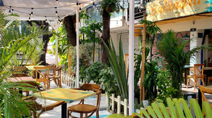 Balandra - Cocina de puerto