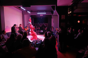 CDMX: Live Flamenco Show and Dinner