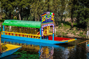 CDMX: Private tour of Xochimilco, Coyoacán, and the Frida Museum
