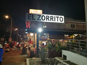 El Zorrito