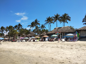 Fibba Nuevo Nayarit Club De Playa