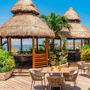 Fred's | The best seafood in Cancun