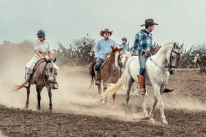 From Mexico City: Horseback Riding in Mexico