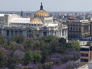 Hotel San Francisco Centro Histórico