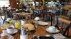 La Ranita Tapatía