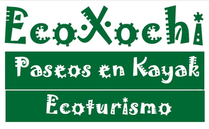 Ecoxochi