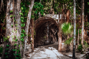 Lunita Jungle Retreat Center - Wellness & Spiritual Center