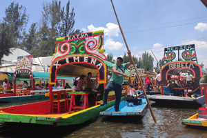 CDMX: Xochimilco, Coyoacán con Frida Kahlo y almuerzo opcional