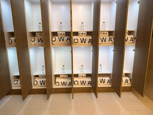 Owa Wellness
