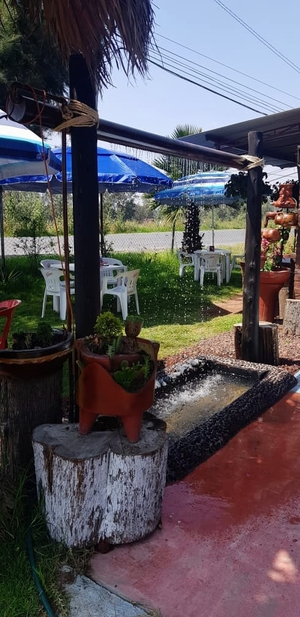 Pescados Y Mariscos El Rey Arturo