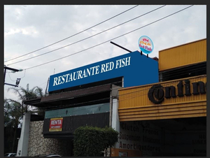 Red Fish & Drinks Arboledas