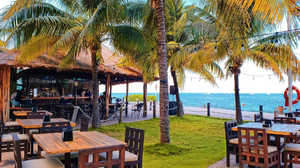 Sirenas Raw Bar
