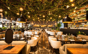 Sonora Grill Mundo E