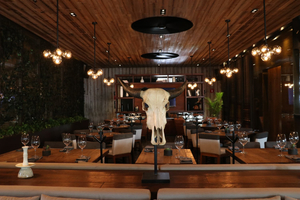 Sonora Prime Insurgentes