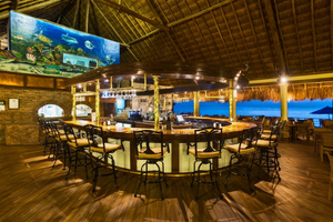 The Money Bar Beach Club